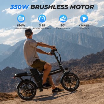 WINDHORSE 16" Foldable Electric Bike for Adults, Peak 630W 20mph, 36V Removable Battery 20-35mile Range, Commuter Electric Bicycle with Dual Seat
