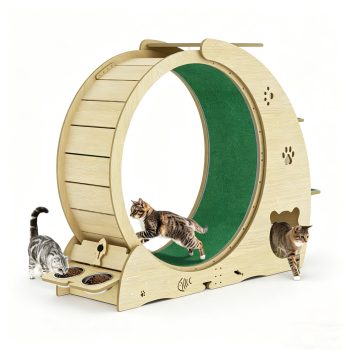 Babevy Large Cat Exercise Wheel, Indoor Cat Treadmill with Bowls & Scratch Post, Detachable Carpet Running Wheel for Walking Training