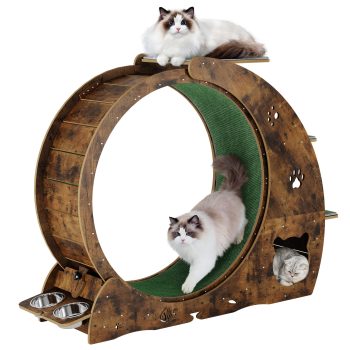 Multi-Function Cat Exercise Wheel for Indoor Cats – Large Quiet Running Wheel with Scratching Pad, Play Roller & Elevated Bowl, 48" Activity & Fitness Center