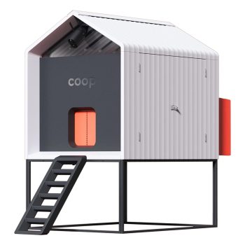 coop Smart Coop for 4 to 6 Chickens with Elevated Base, 200-000