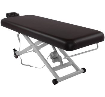 SKINACT Stella Electric Medical Spa Treatment Table Facial Chair/Bed (Dark Brown)
