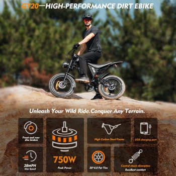 750W Electric Bike for Adults, 20" 4.0Fat Tires Electric Mountain Bike, 48V 15.6 Ah Battery Fat Tire Electric Bike, Up to 50 Miles Range & 28mph, Dual Disc Brakes, 7-Speed off-road Ebike, UL2849